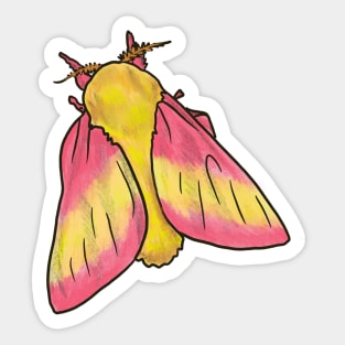 Rosy Maple Moth Sticker